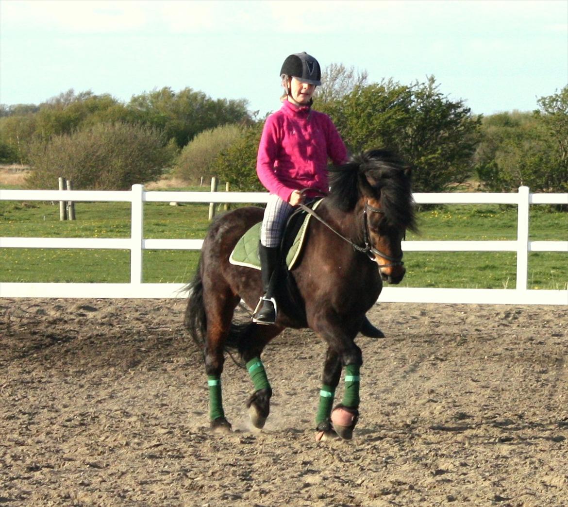 Anden særlig race Ponyo chusteau <3<3 billede 2