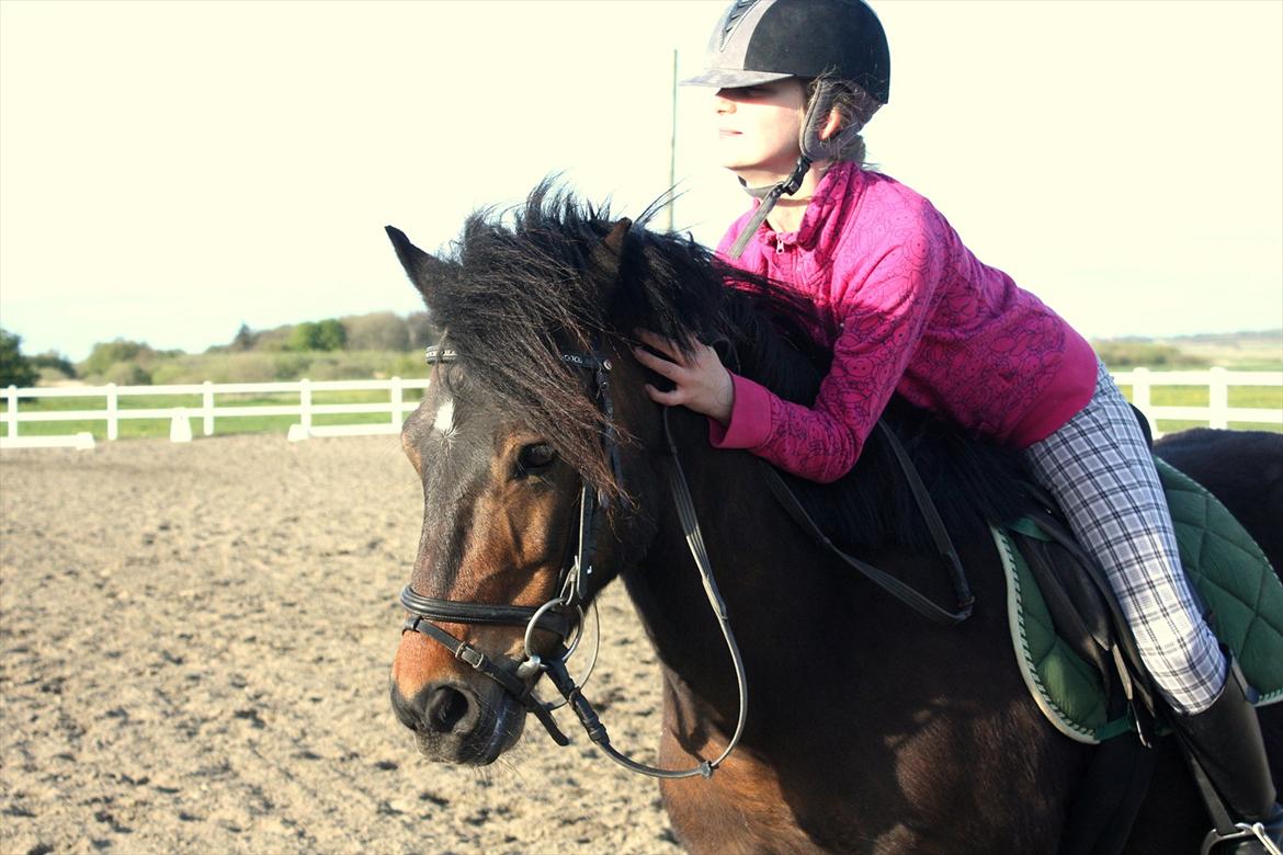 Anden særlig race Ponyo chusteau <3<3 billede 3