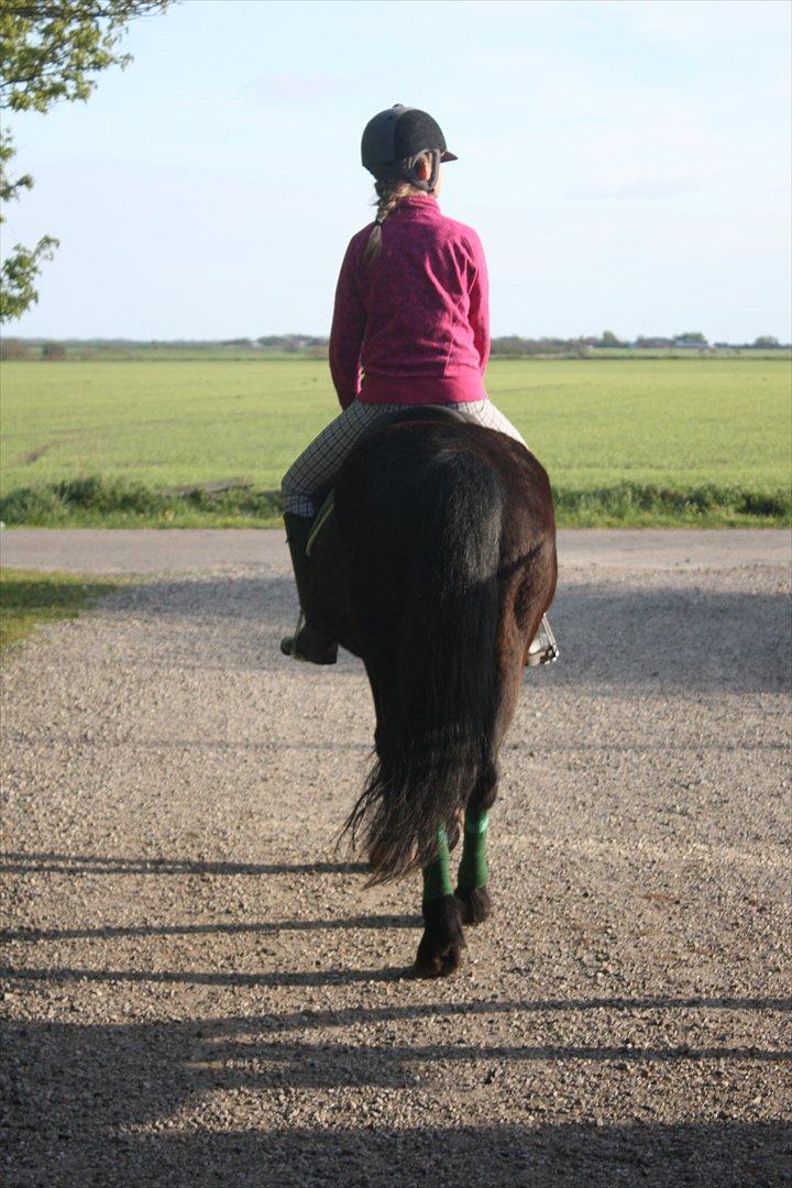 Anden særlig race Ponyo chusteau <3<3 billede 4