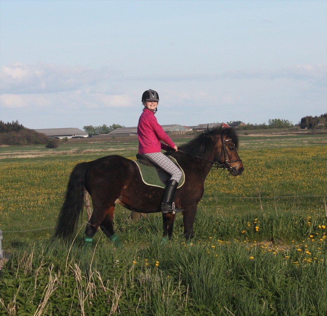 Anden særlig race Ponyo chusteau <3<3 billede 5