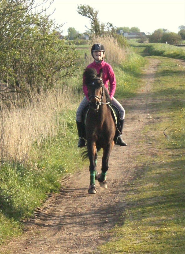 Anden særlig race Ponyo chusteau <3<3 billede 6