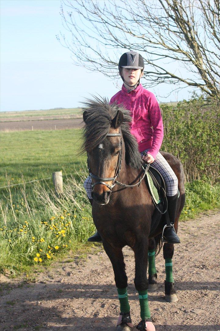 Anden særlig race Ponyo chusteau <3<3 billede 7