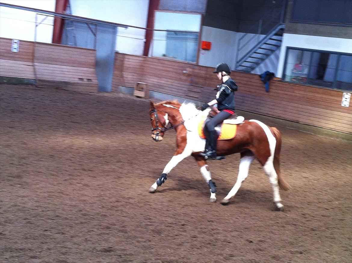 Anden særlig race Yasmin - Min smukke prinsesse<3

Elsker dig skat<3 billede 15