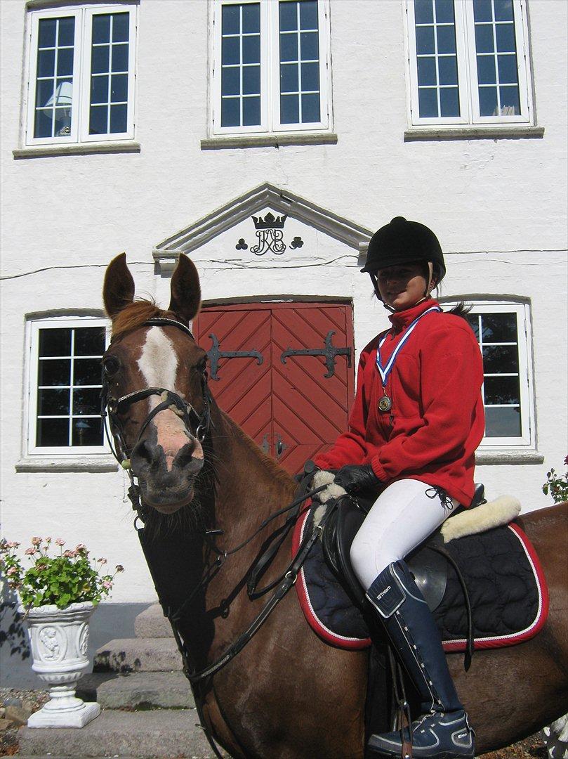 Arabisk fuldblod (OX) Keiko billede 17