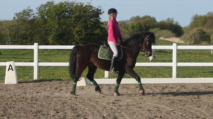 Anden særlig race Ponyo chusteau <3<3 billede 10