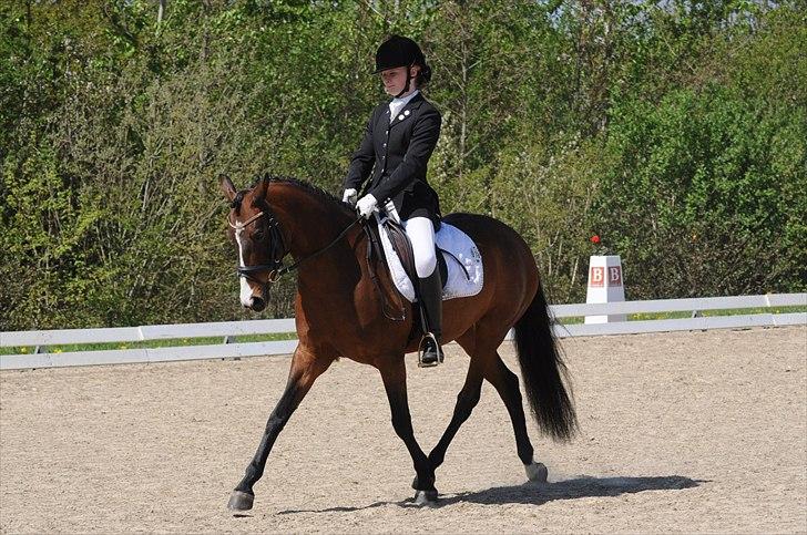 DSP ATINA KÆRLUND ***  A- PONY** billede 11