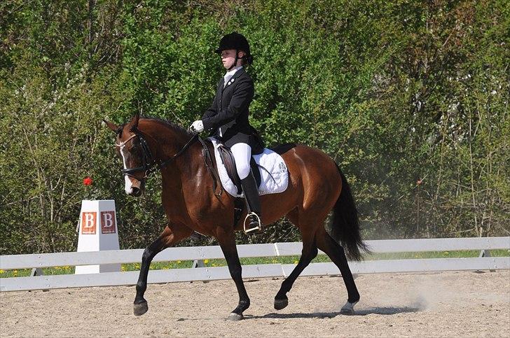 DSP ATINA KÆRLUND ***  A- PONY** billede 12