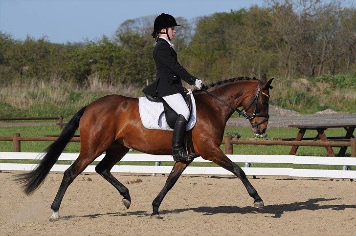 DSP ATINA KÆRLUND ***  A- PONY** billede 14