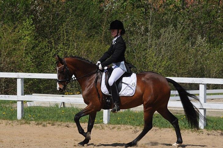 DSP ATINA KÆRLUND ***  A- PONY** billede 19