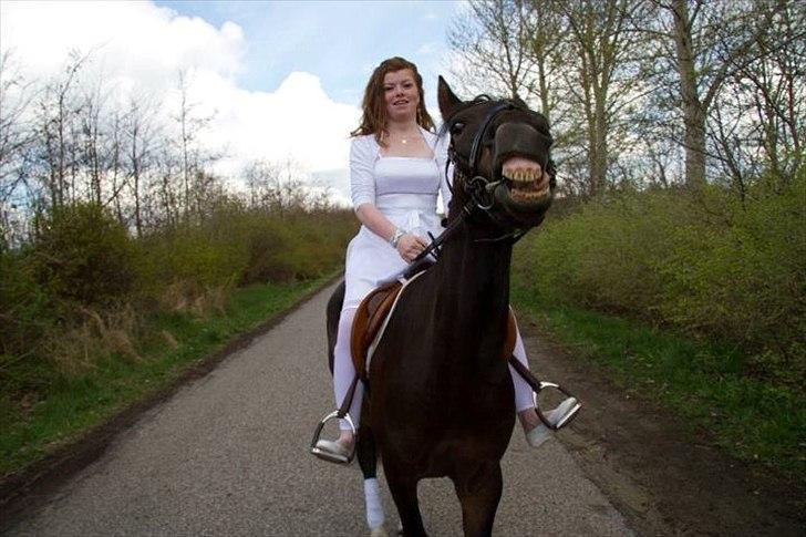 DSP Racing Tai Vil altid være elsket!! <3<3 - Smiiiil til fotografen
billede jannie billede 11