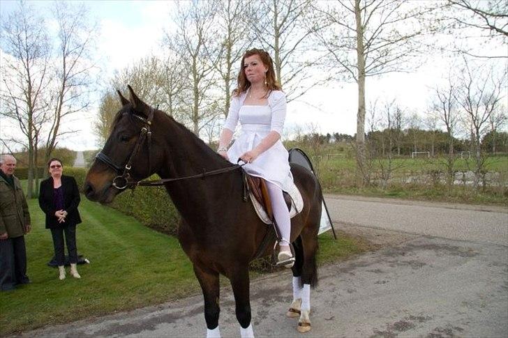 DSP Racing Tai Vil altid være elsket!! <3<3 - billede jannie billede 15