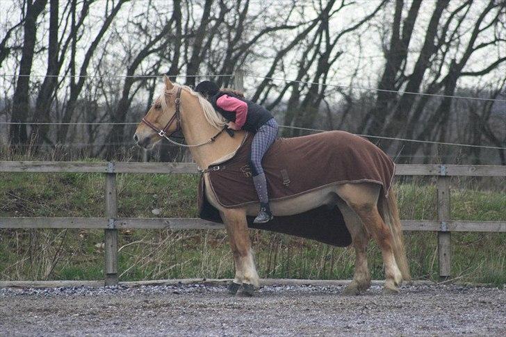 Anden særlig race Valentino <3 *Tino* | My Soulmate|<3 - Jeg stoler på dig.<3 billede 3