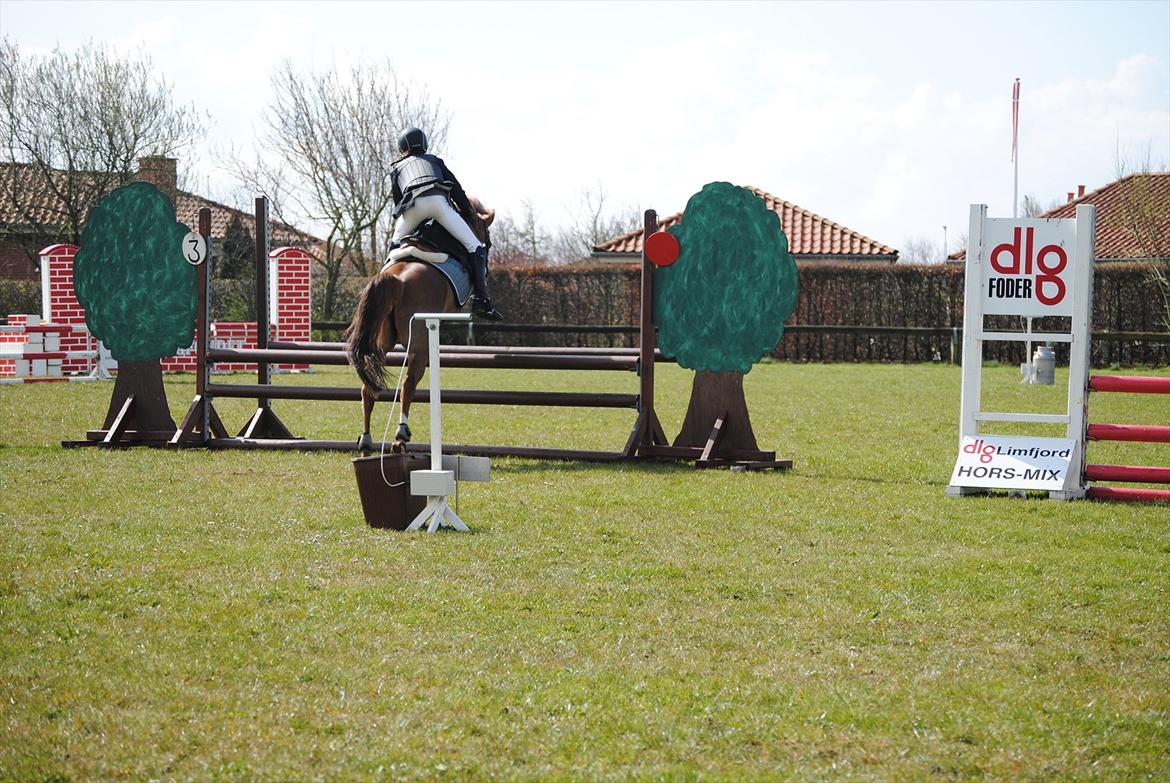 Anden særlig race Trille  - Første C-Stævne NTR billede 3