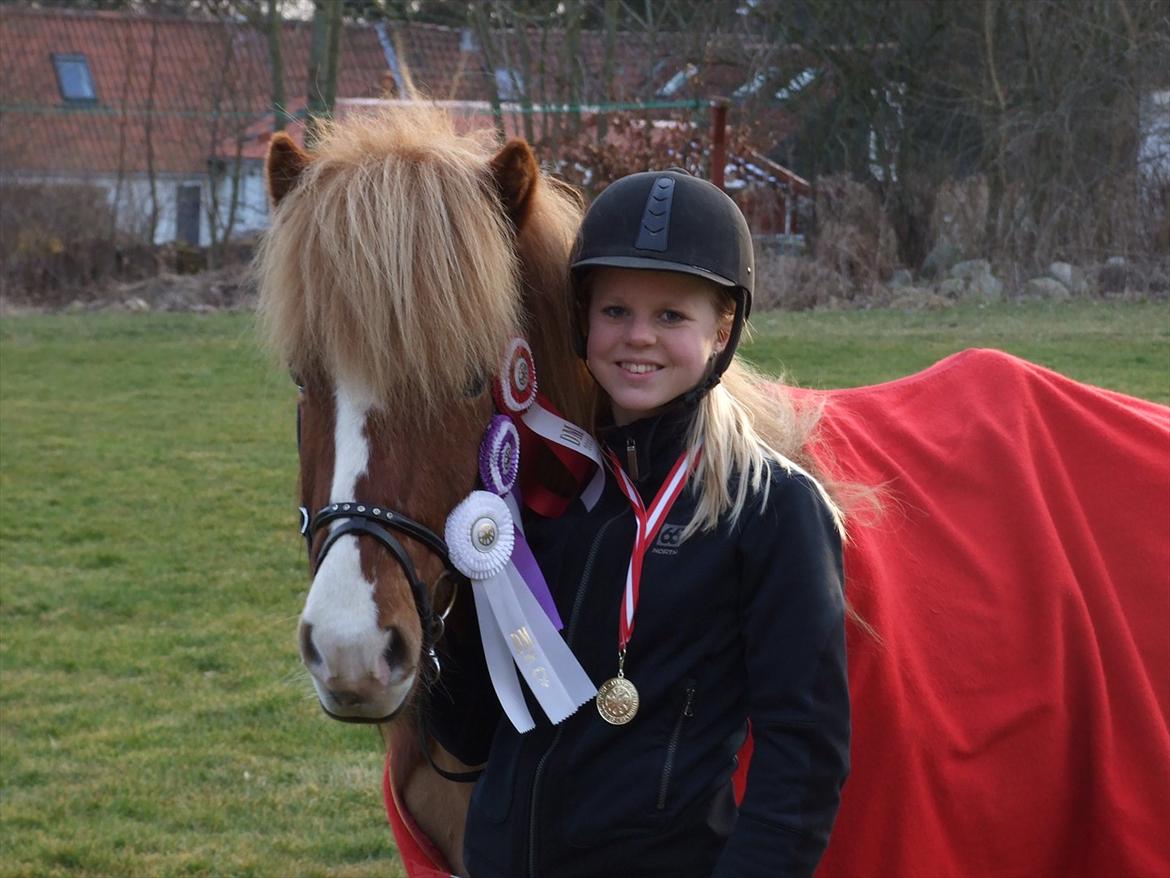 Islænder Lettfeti - Det er ikke svært at finde en der kan få dig til at smile, det er ikke svært at finde en der kan få dig til at græde. Kunsten er at finde en, der kan få dig til at smile med tårer i øjnene.

rosetter og dækken fra Dm 2011. 
 billede 11