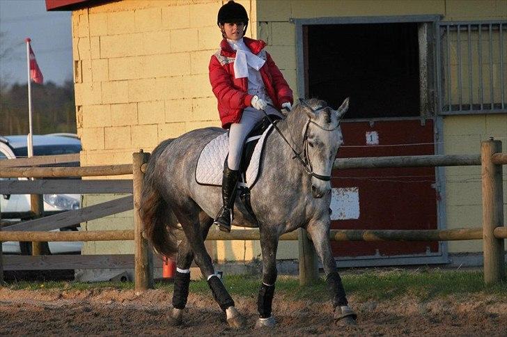 Anden særlig race [ Maybeline ] :-* - Fotograf: Mie Busk Vedel billede 15