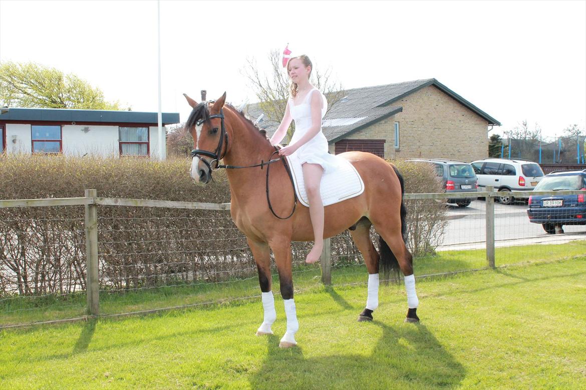 DSP Bæklunds Lombard billede 9