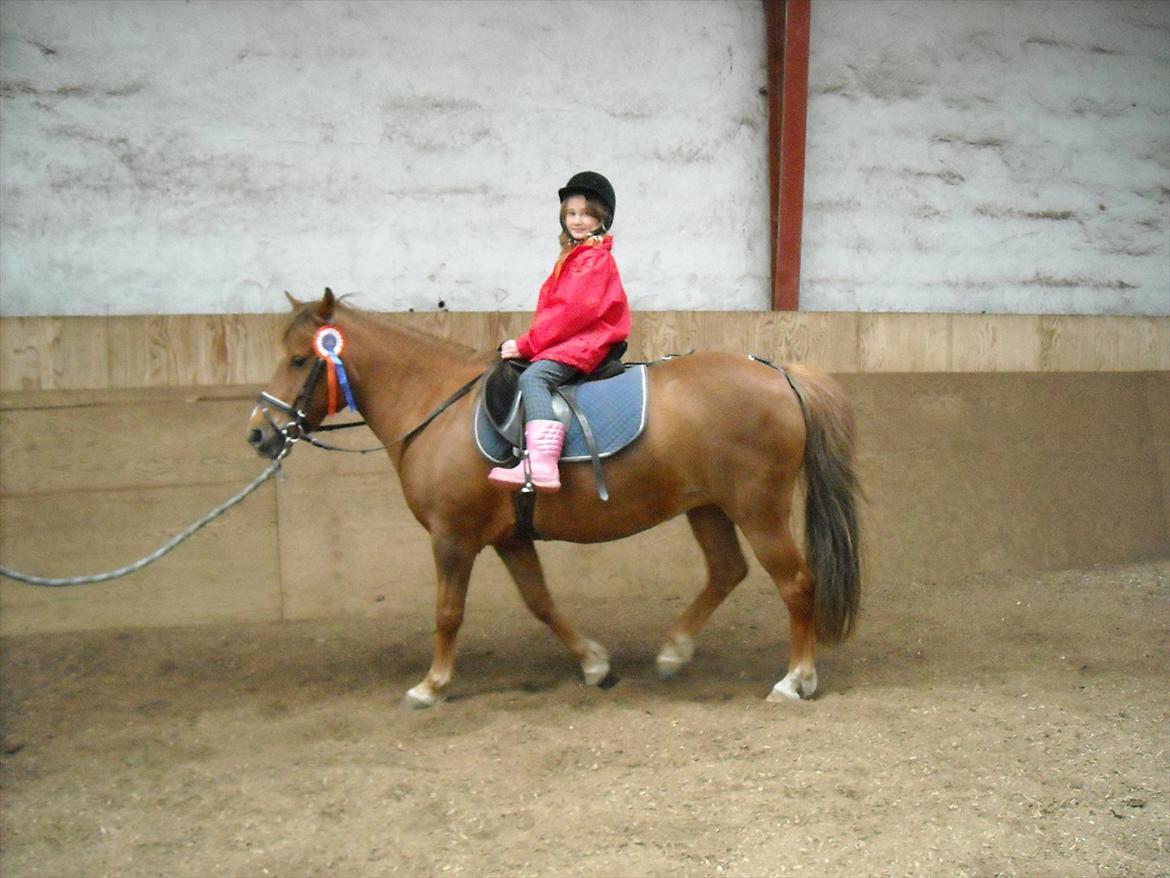 Anden særlig race Fanny billede 18