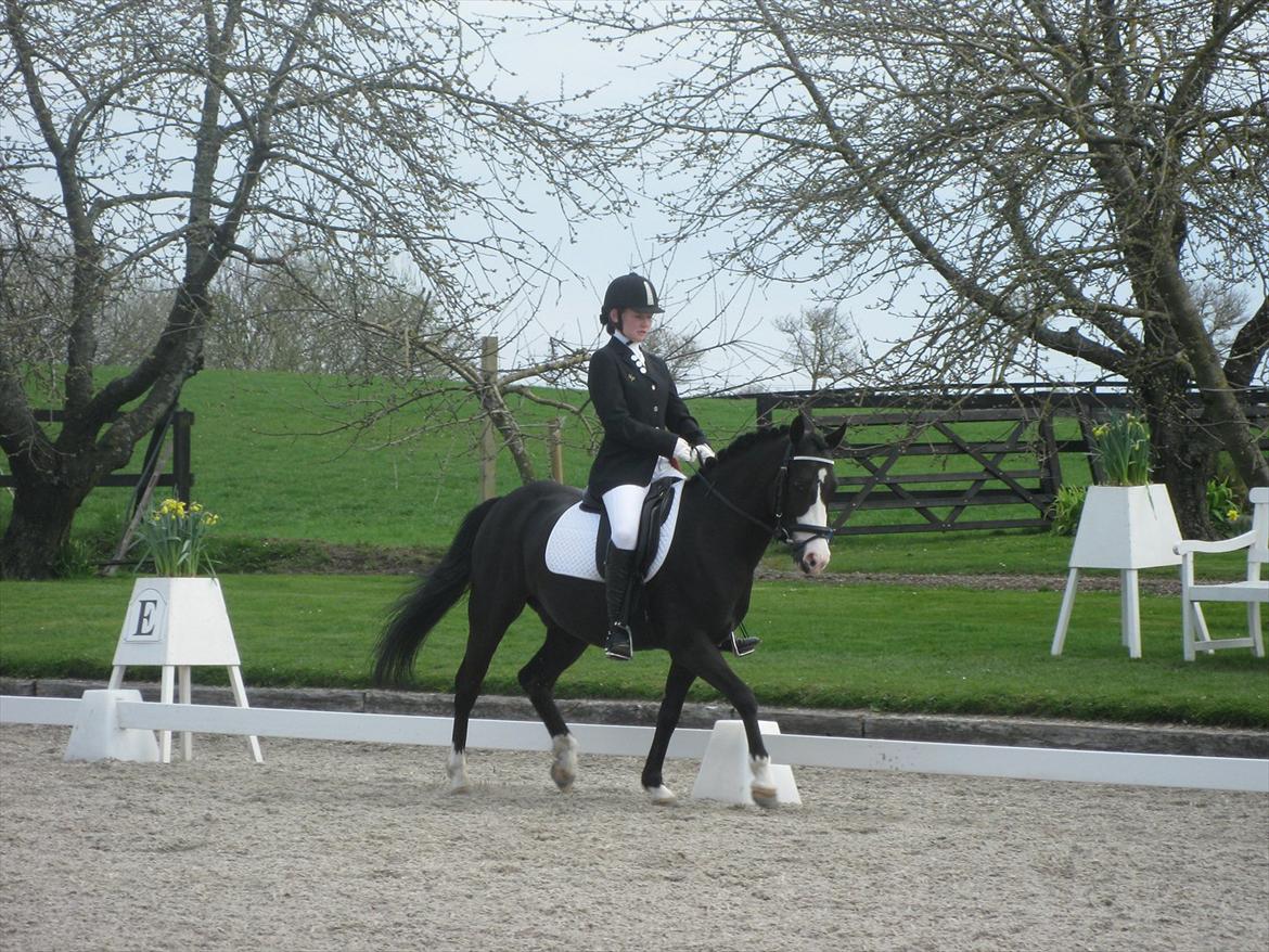 DSP Principal Touch - Vores første C-stævne. En 2.plads i LA2 med 67,18. billede 16