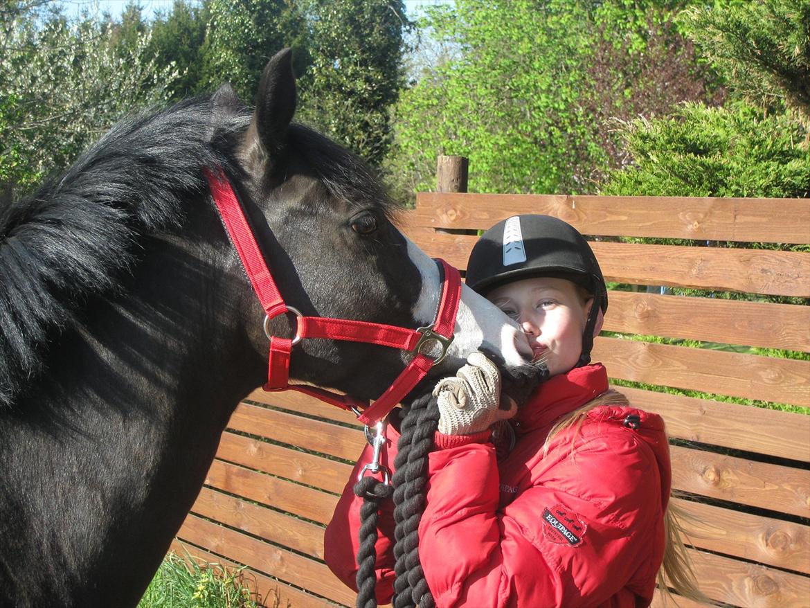 DSP Principal Touch - 5. maj 2012. Fødselsdagskys !!
Prince fylder 8 år. billede 17