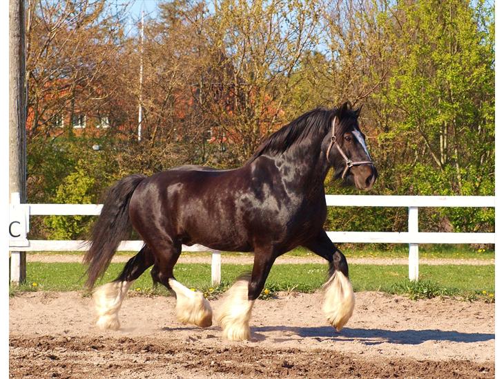 {{currentPhoto.altText}} billede {{currentPhoto.number}}