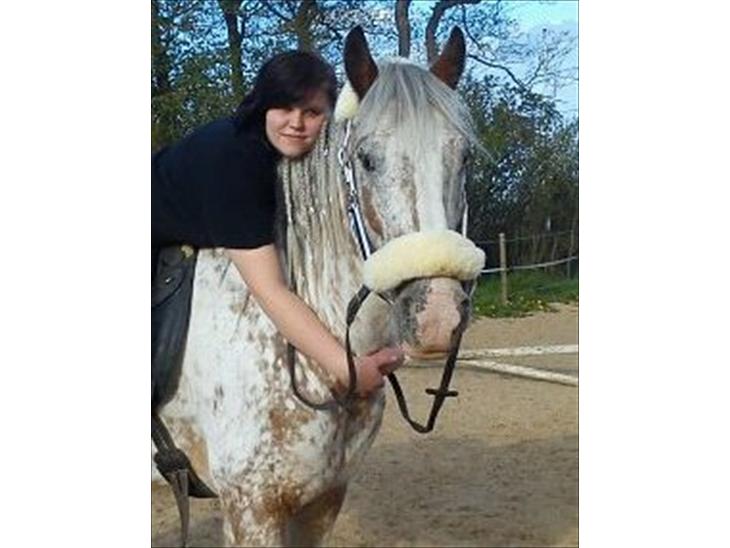 {{currentPhoto.altText}} billede {{currentPhoto.number}}