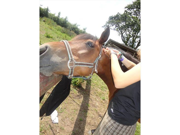 {{currentPhoto.altText}} billede {{currentPhoto.number}}