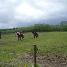 Islænder Stjerni R.I.P