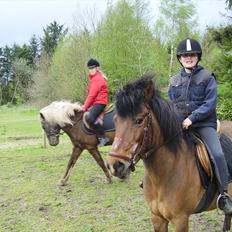 Islænder Stjerni R.I.P