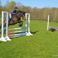 Anden særlig race Jannie<3