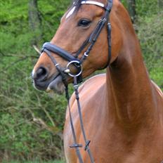 Anden særlig race Mon Cherie