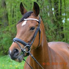 Anden særlig race Mon Cherie