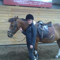 Anden særlig race Frig