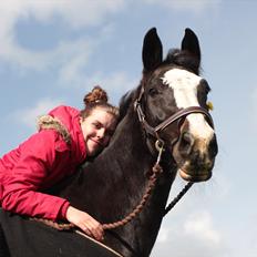 Hollandsk Varmblod Moberlina <3 Prinsessen<3