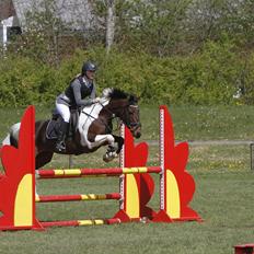 Anden særlig race LADY GAGA