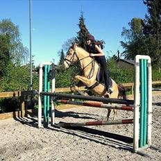 Anden særlig race Sioux