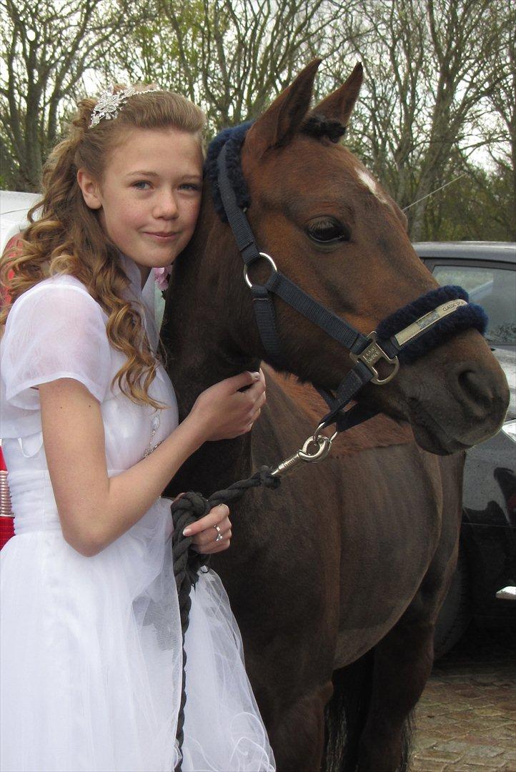 Welsh Pony (sec B) misty - Mig og misty til min konfirmation den 6. maj 2012 ;) billede 11