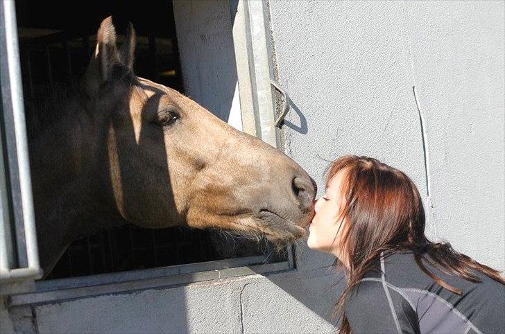 New Forest Balasjow - jeg elsker dig<3 billede 9