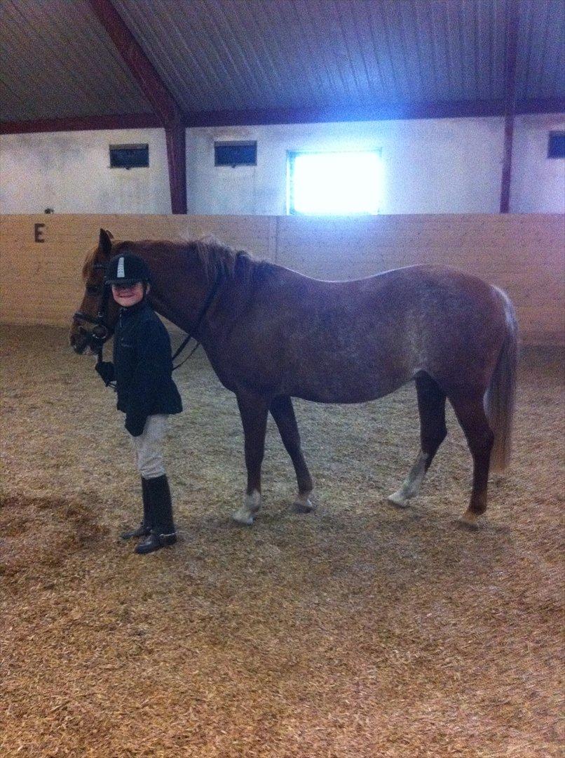 New Forest Søgård Roxana - Natalie :) (hendes rigtige ejer)  billede 2