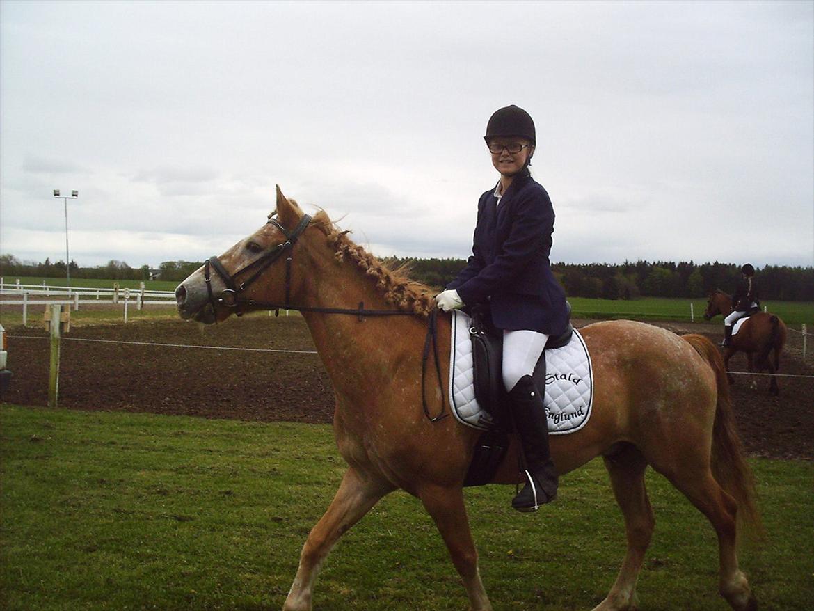 Anden særlig race just hugo forever billede 17
