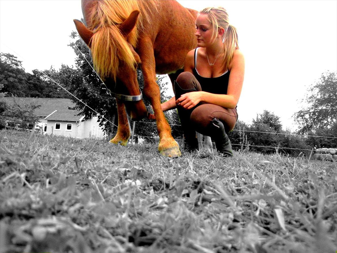 Islænder Silja fra Bogens  billede 14