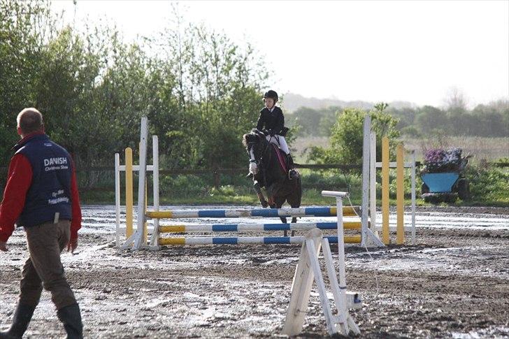 Anden særlig race Deedee billede 3