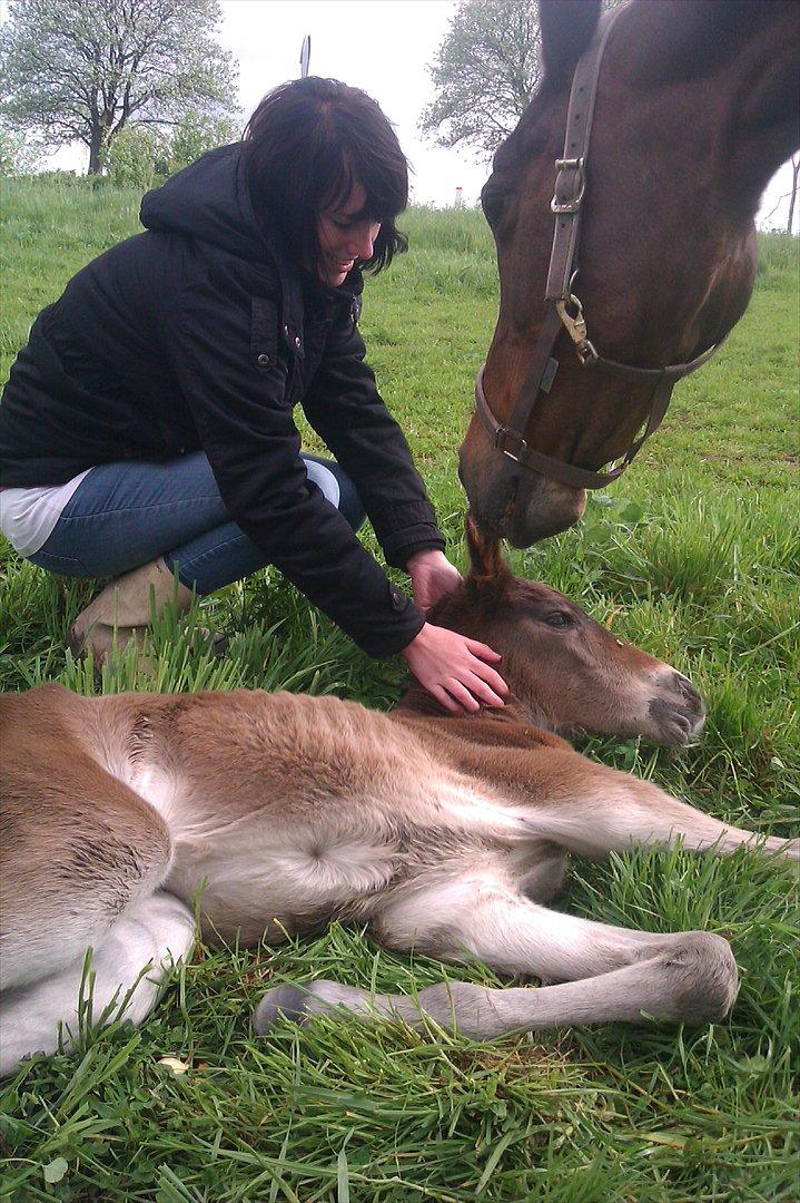 Anden særlig race lundsgaards baby billede 10