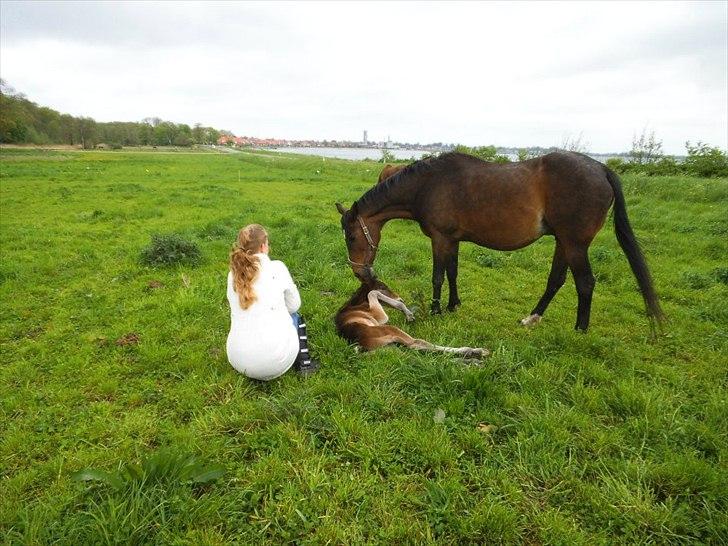 Anden særlig race lundsgaards baby billede 17