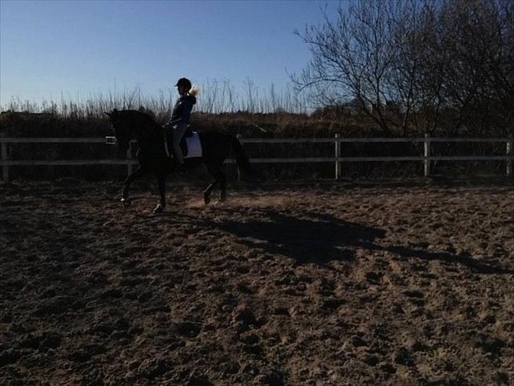 DSP Penny-Lady-Naddle billede 13