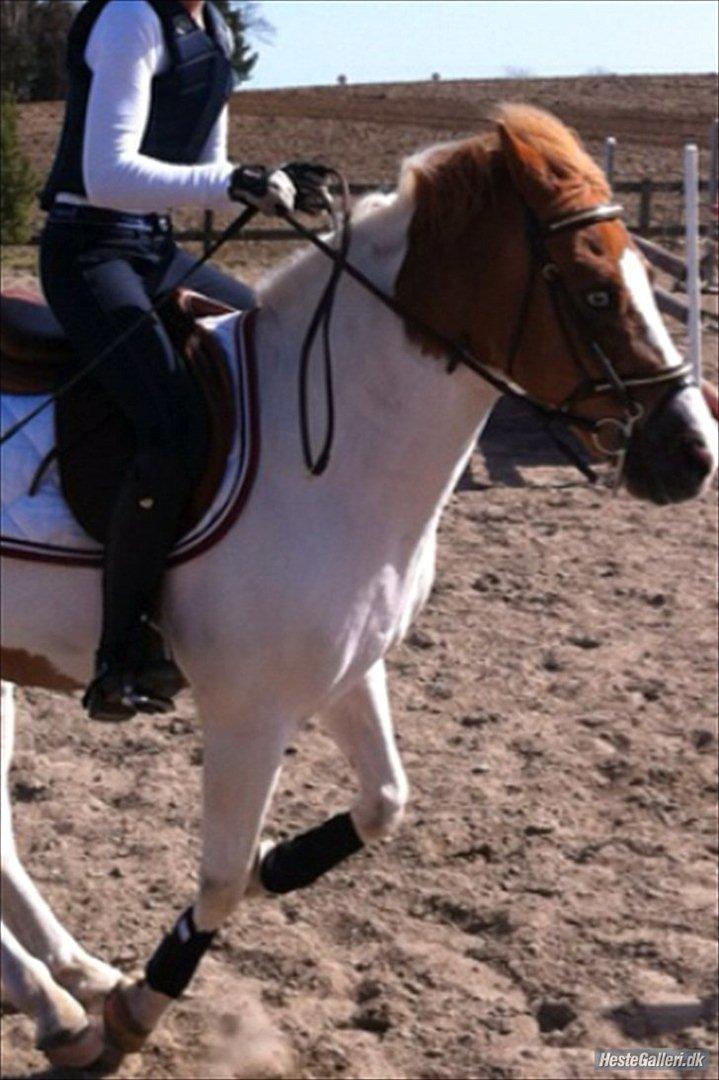 Anden særlig race Tarzan billede 7