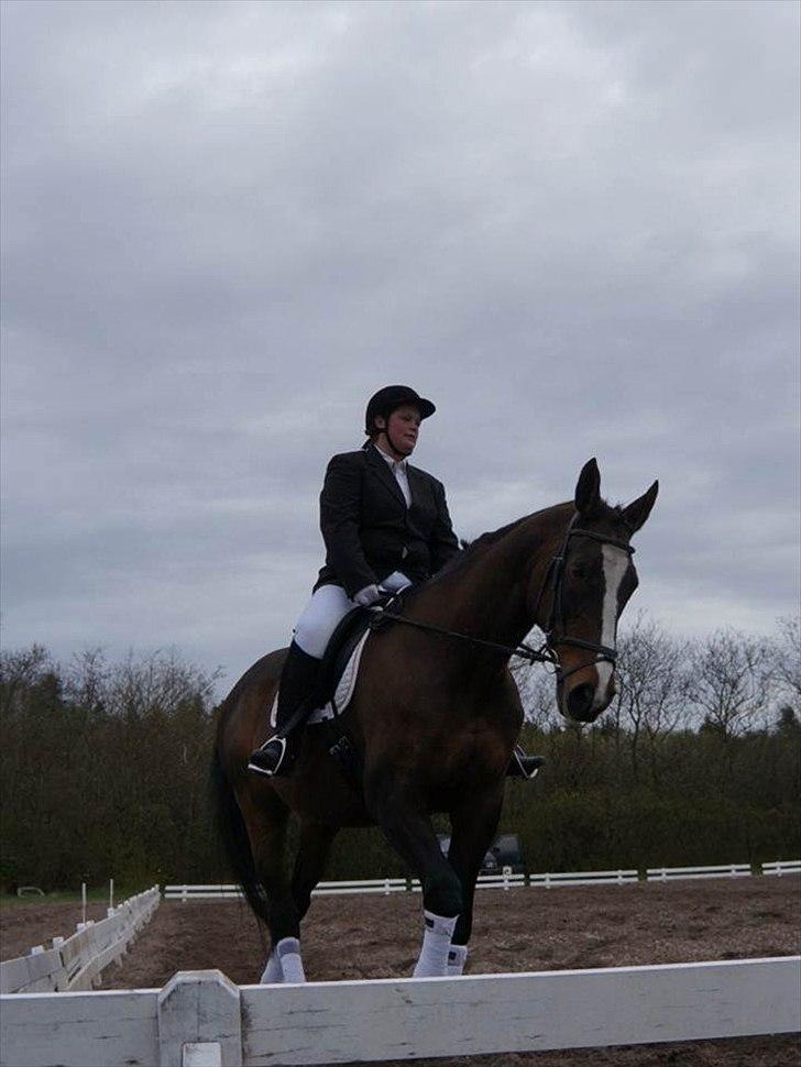 Dansk Varmblod Minelli Mosegård  - Lisette og Minelli til stævne april 2012 billede 1