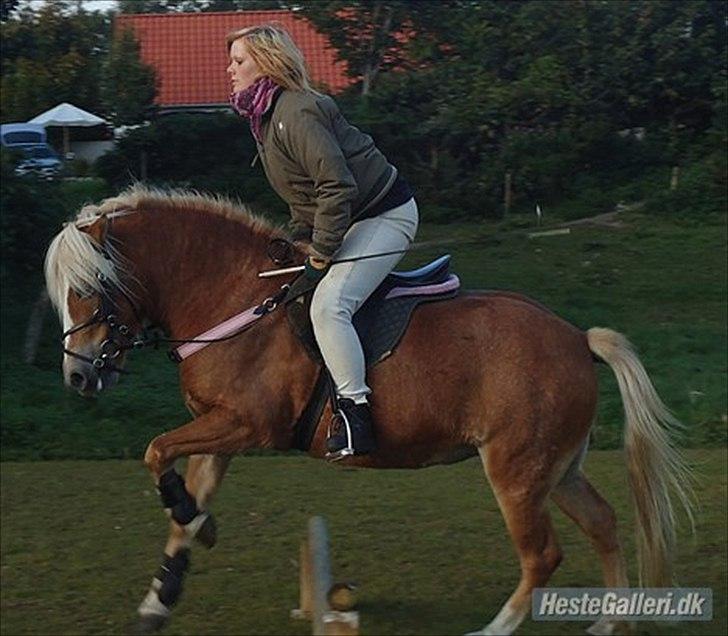 Anden særlig race Kimmi - En af de første gange hun sprang ;) billede 11