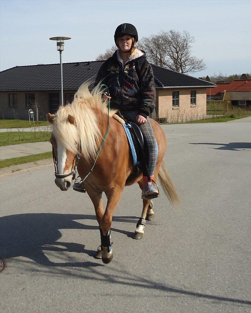 Anden særlig race Kimmi - Udflugt i trafikken ;) billede 10