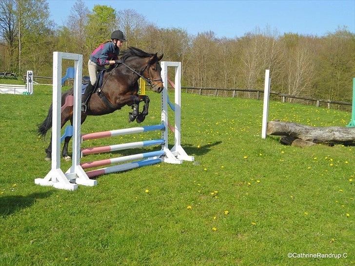 Anden særlig race Jannie<3 - Yndlings billedet<3<3 Foto: Cat billede 3