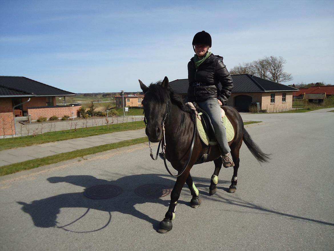 Anden særlig race Nørrelunds Sweetheart - Udflugt i trafikken ;) billede 15